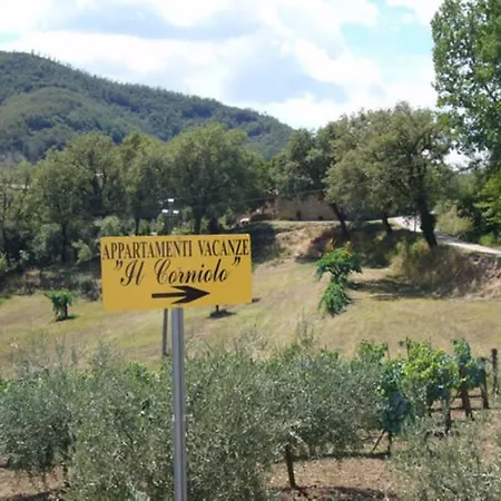 Il Corniolo Poggioni